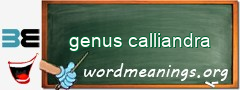 WordMeaning blackboard for genus calliandra